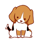 aster